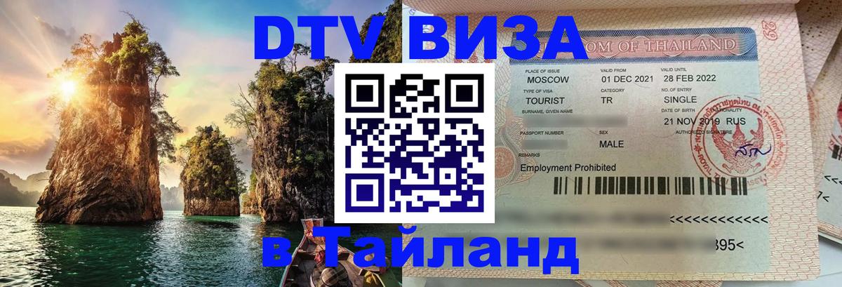 Сколько стоит DTV виза — актуальные цены, оформление даже без документов - 21.11.2025 